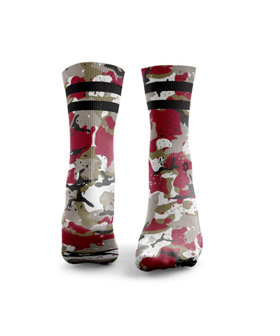 HEXXEE Air Jords Socks